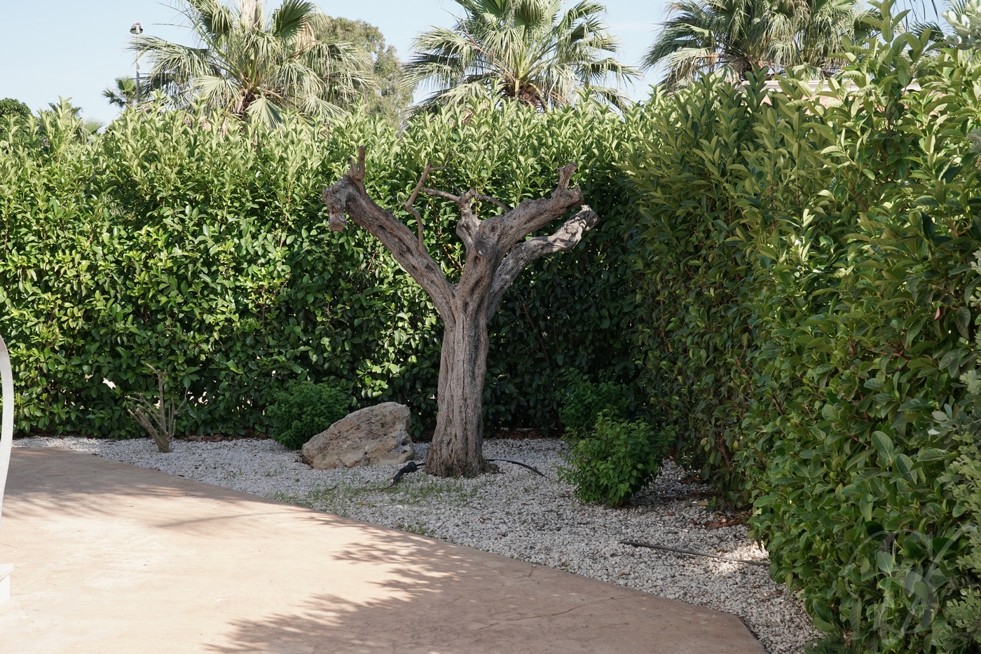 appartamento-casa-vacanza-marsala-esterno-mare-villa-sofia-17
